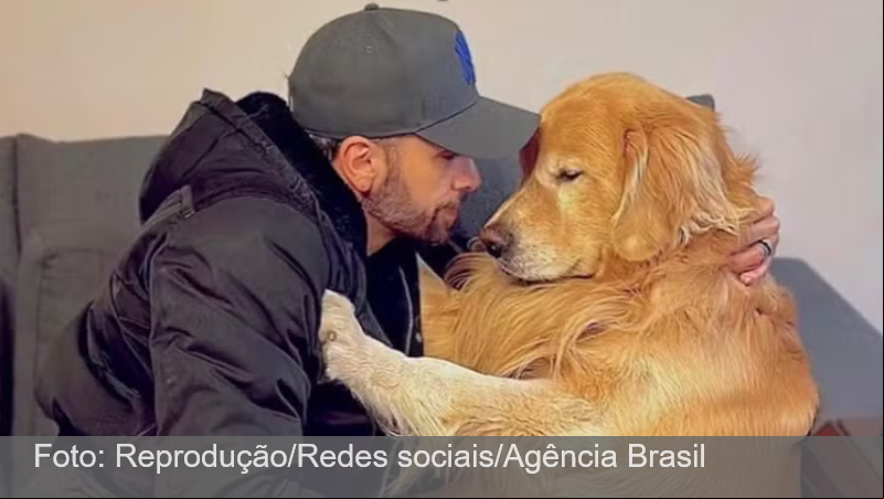 Após morte de Joca, comissão do governo vai definir regras para transporte aéreo de pets