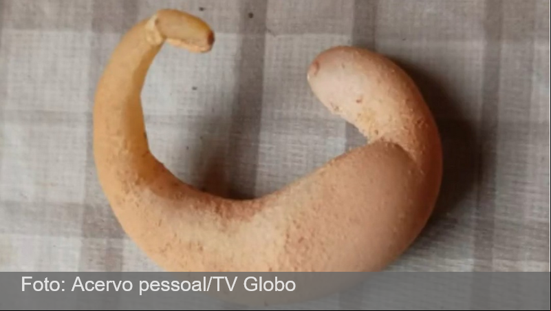 Galinha bota ovo em formato de meia-lua em sítio de Minas Gerais