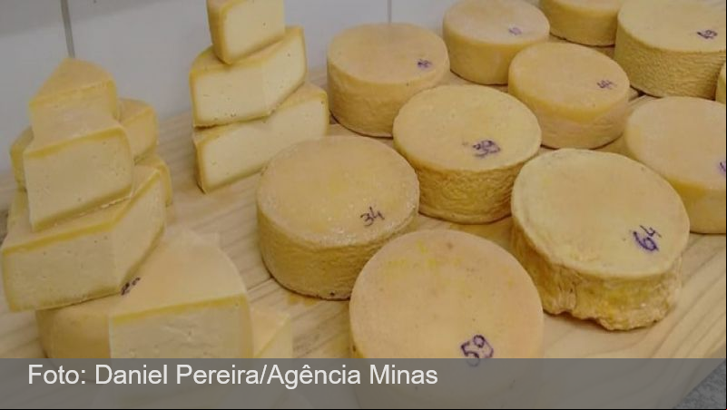 Pesquisas aprimoram queijo artesanal mineiro