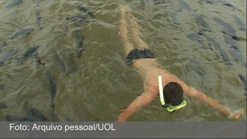 Ataques de peixes interditam balneário de Bonito (MS); turista tem dedo arrancado