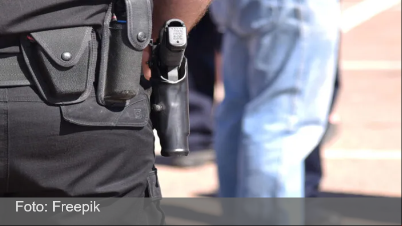 Vereadora de JF propõe vigilantes com armas de fogo em todas as escolas municipais