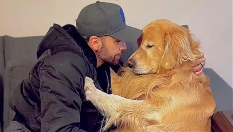Após morte de Joca, comissão do governo vai definir regras para transporte aéreo de pets